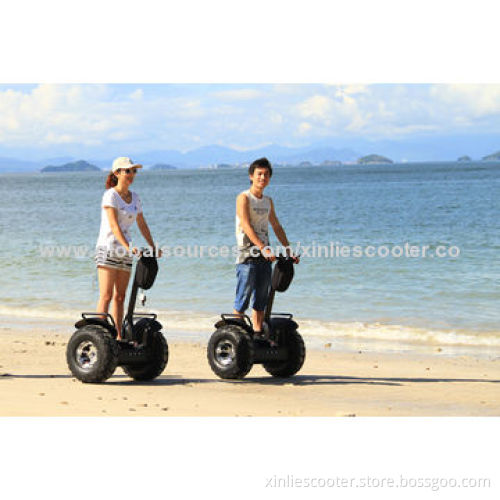 China adult 2 wheel stand up electric scooter